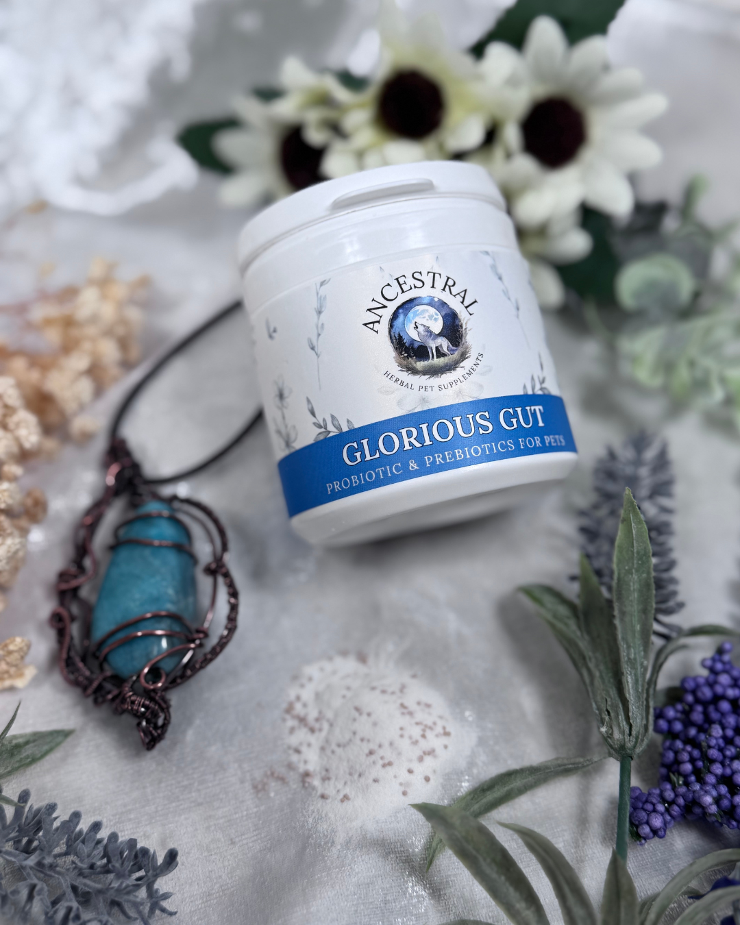 ancestral-glorious-gut-probiotics-for-pets-1